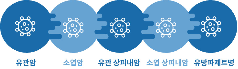 유방암의 종류