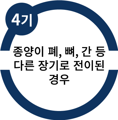 4기